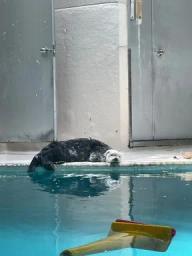 水族館と食べ歩き♪