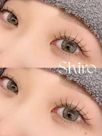 【フラットラッシュ100本】束感が可愛い！ナチュラルにも◎